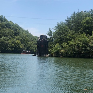 粉红色的西农新蜜