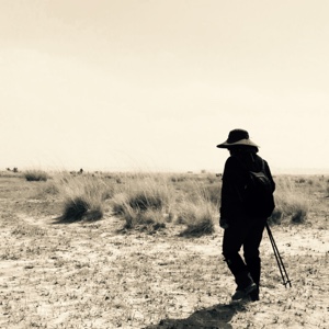 耗子持刀满街找猫