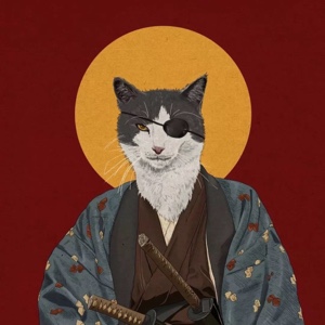 以下内容仅你可见