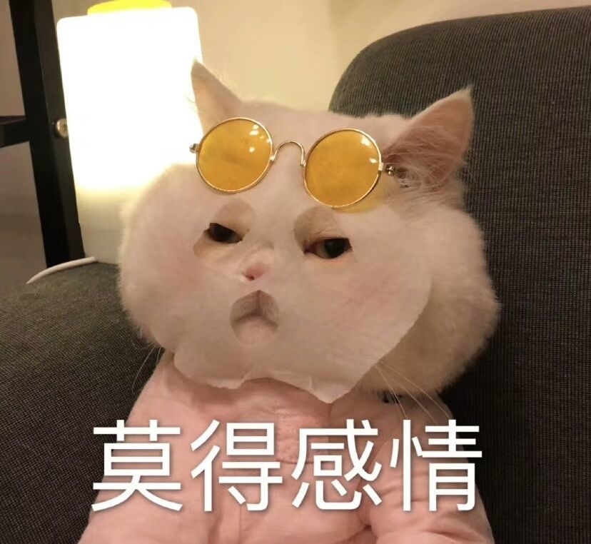是张章章吖