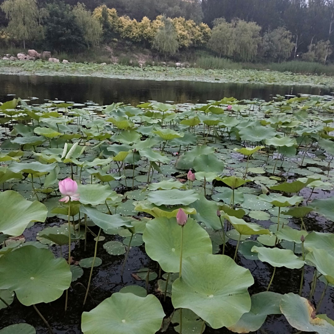 爱打扮(www.idaban.cn)，轻舞飞扬