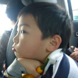 在路上的叶子青青