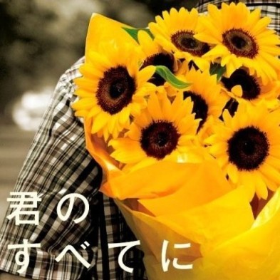 为啥总是大箱子