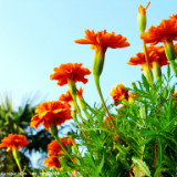 开心快乐第一668