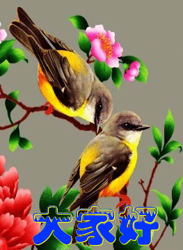 独钓江湖大小鱼