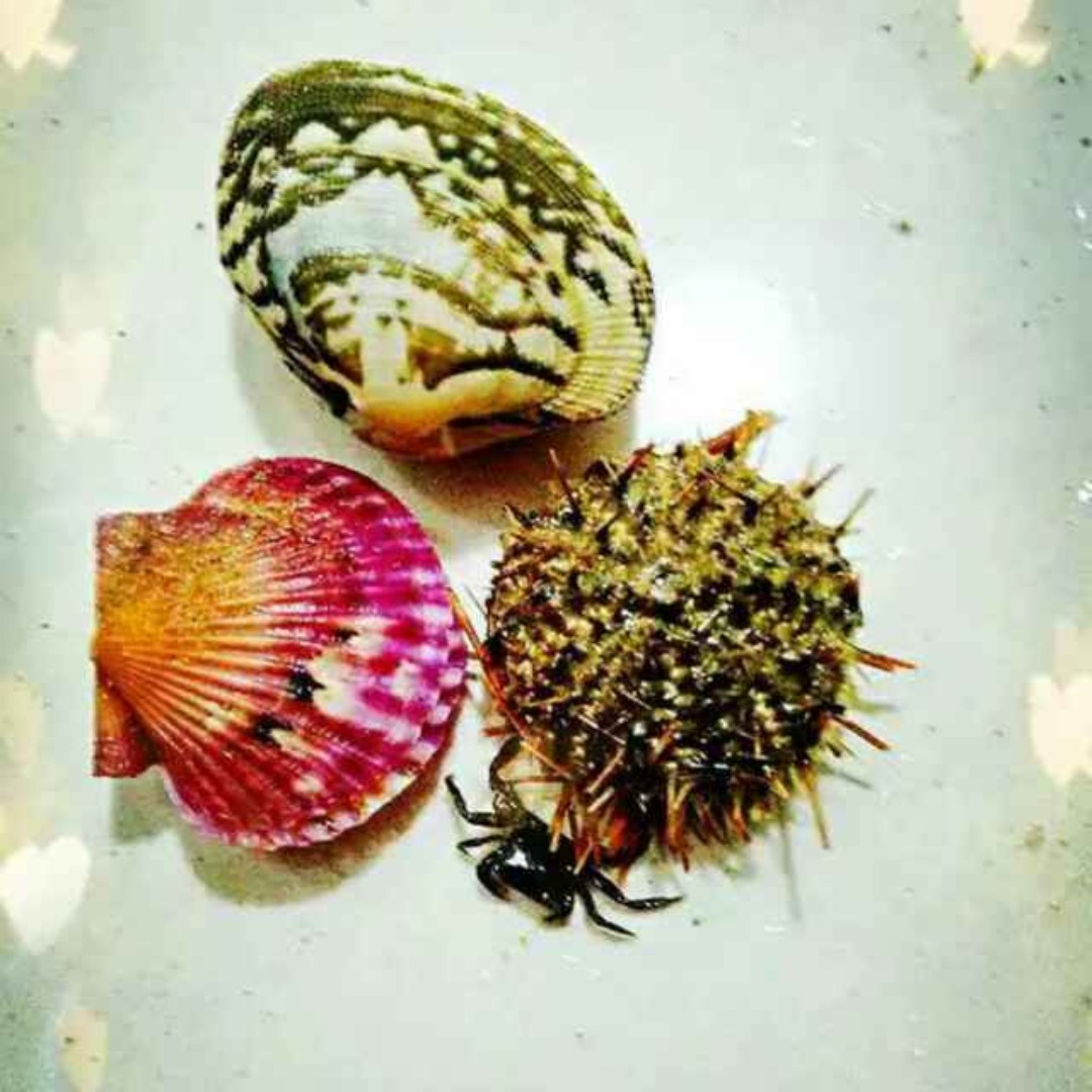 翱翔的云lz超友善