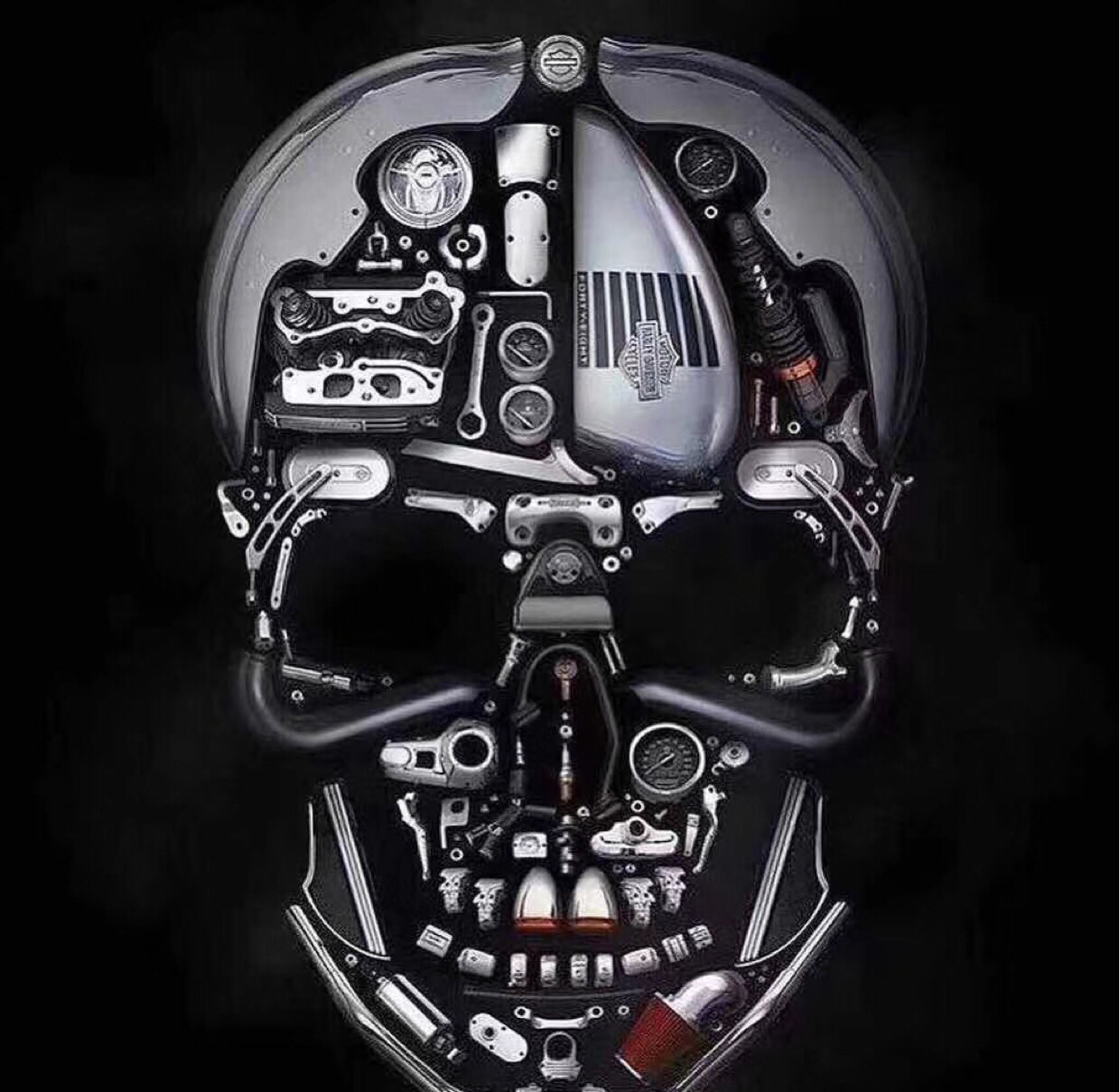 葱绿的平滑苍耳