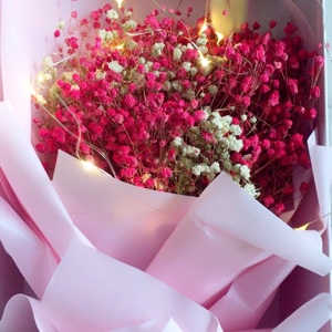 爱吃豆沙司康的棒球70