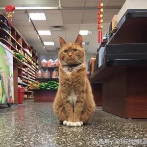 等风等雨等你等快递