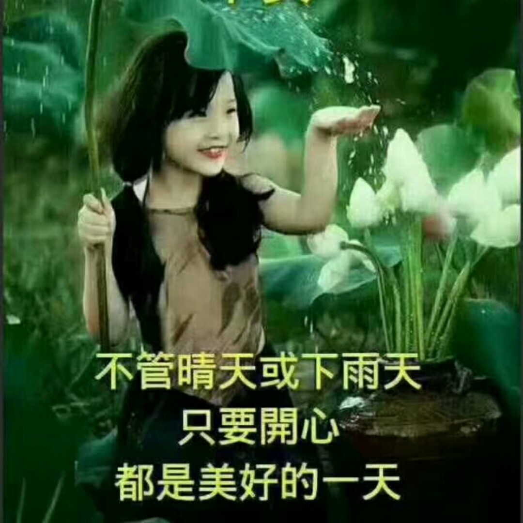 带刺的玫瑰