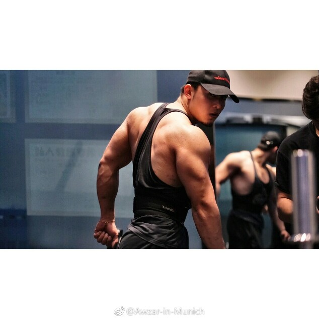 枣红色的鳞丝膜菌