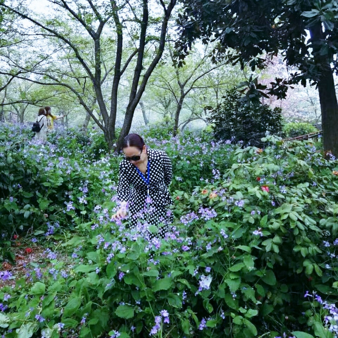 爱吃生菜包肉的咩咩