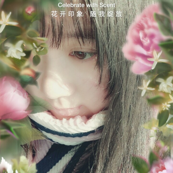 蘑菇蘑菇它不开花