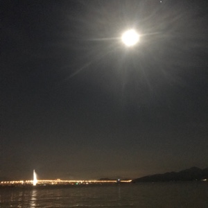 爱吃豆渣饼的苹果