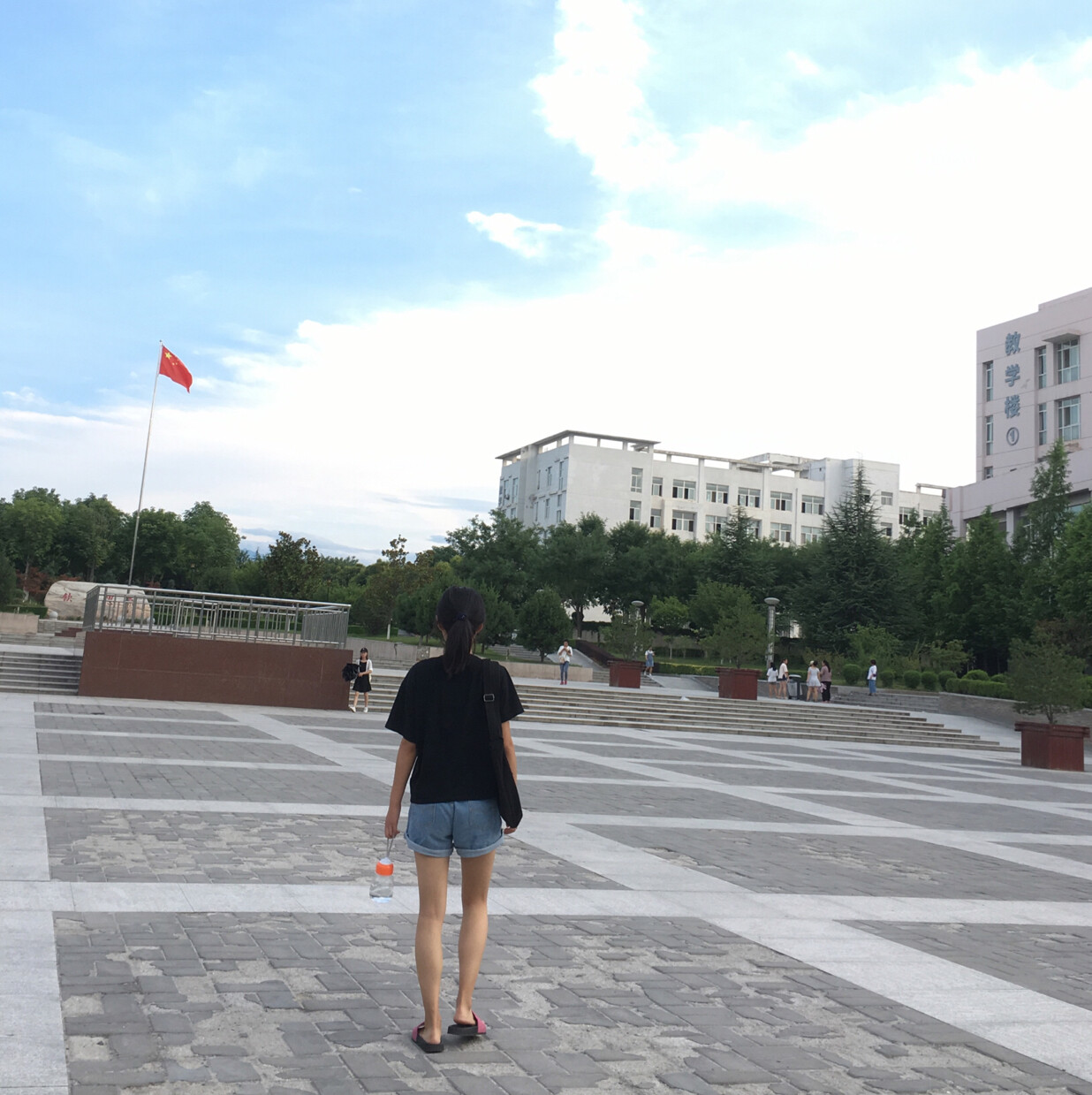 小提琴阿发芦籽