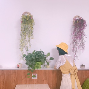 勃勃生机伯伯生鸡！