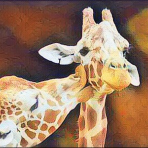 連暱稱都不能一樣嗎！