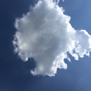 我好有趣我不说话