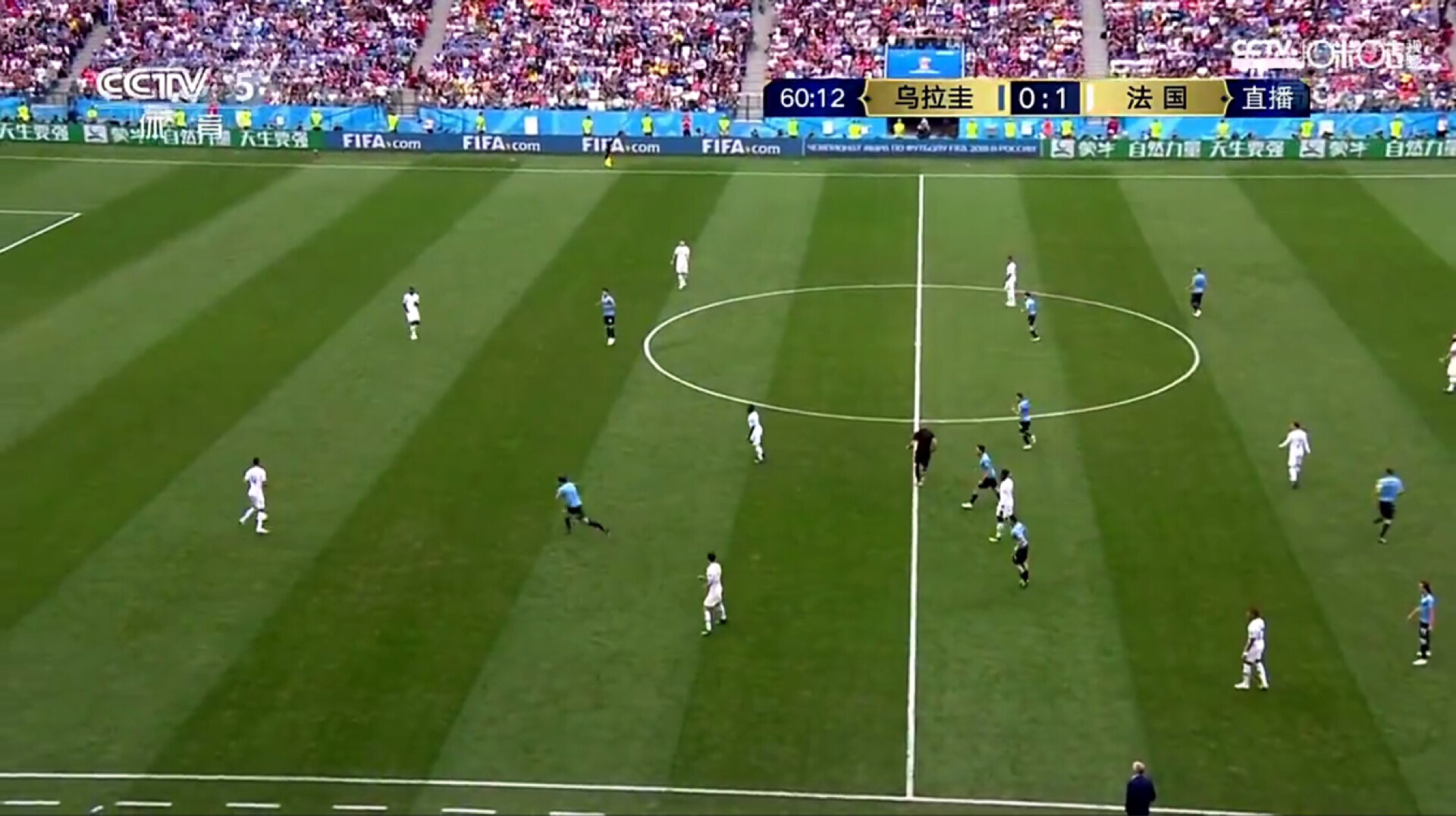 爱吃三丝莴笋的经纪人