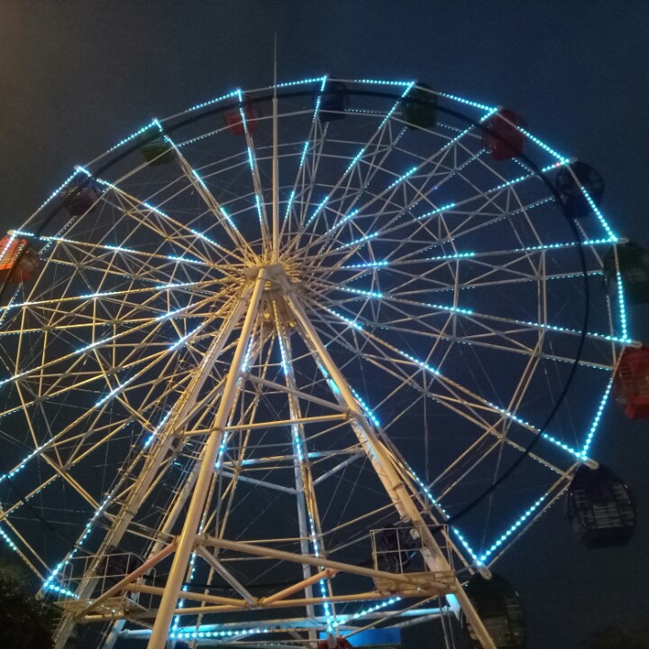 友情岁月岁岁月月