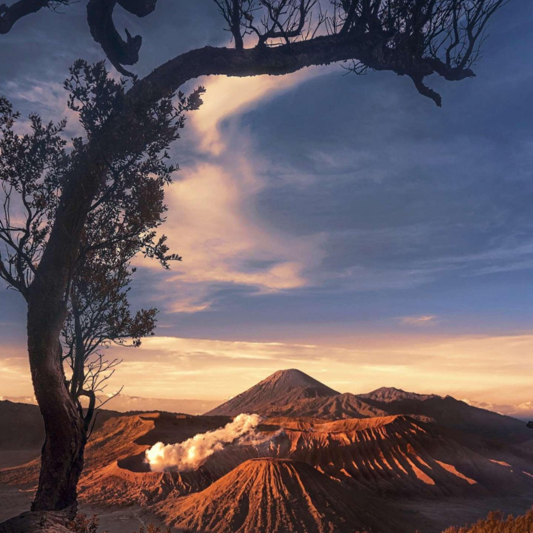 舒格(づ●─●)づ