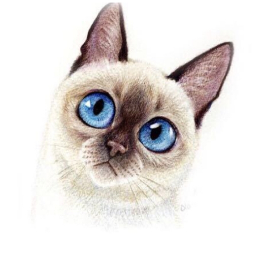 怎么可以吃兔兔咧