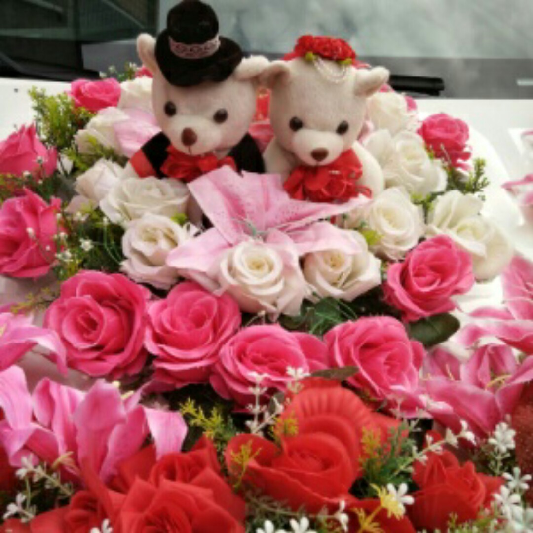 宝宝是我的全部最热情