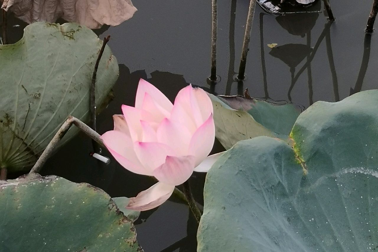 阳光明媚的午后