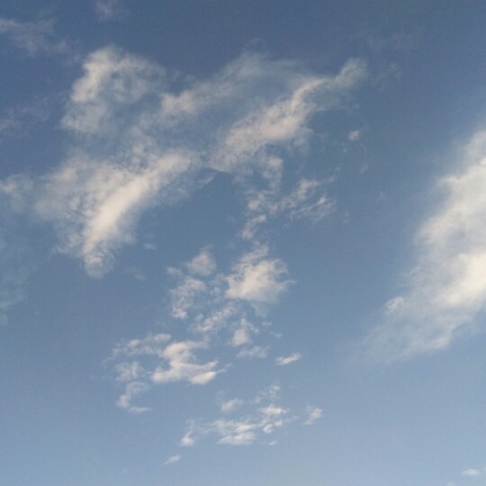 爱吃松炸菜花的清水