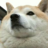 我想被世界温柔以待