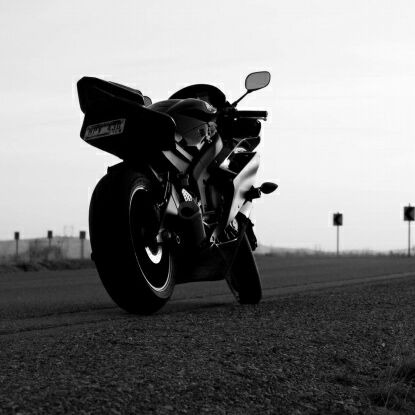 买！买！买个够！！！