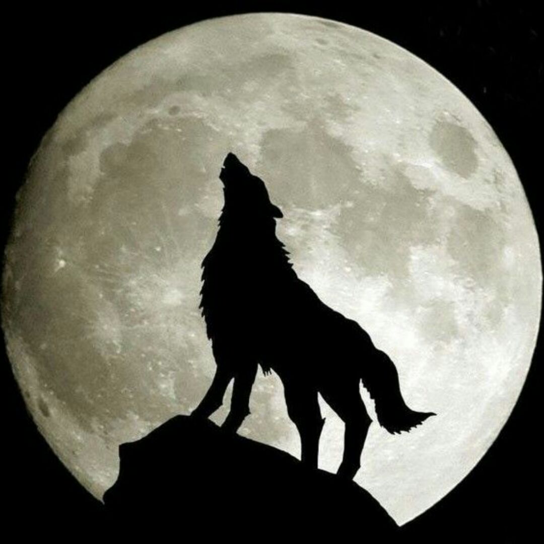 ╭ァ坦♀蕩蕩ヤ