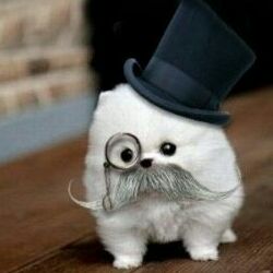 佛山高明区圣薇娜形象设计