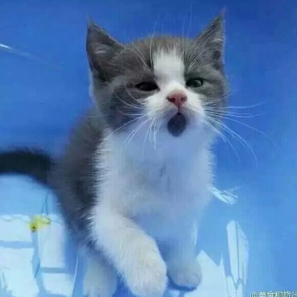 小吴今天没有喝奶茶