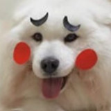 沉默的艾克林恩