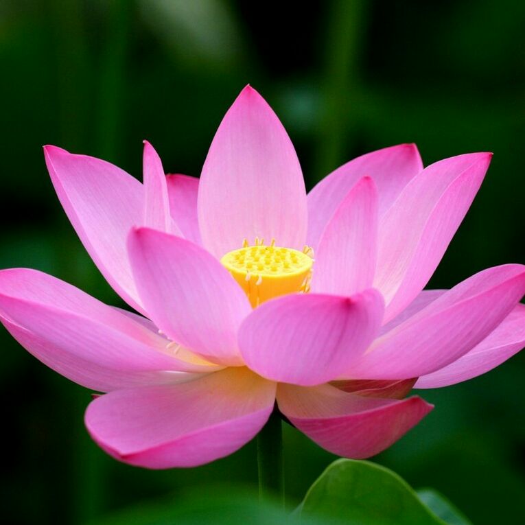 综合维修服务部