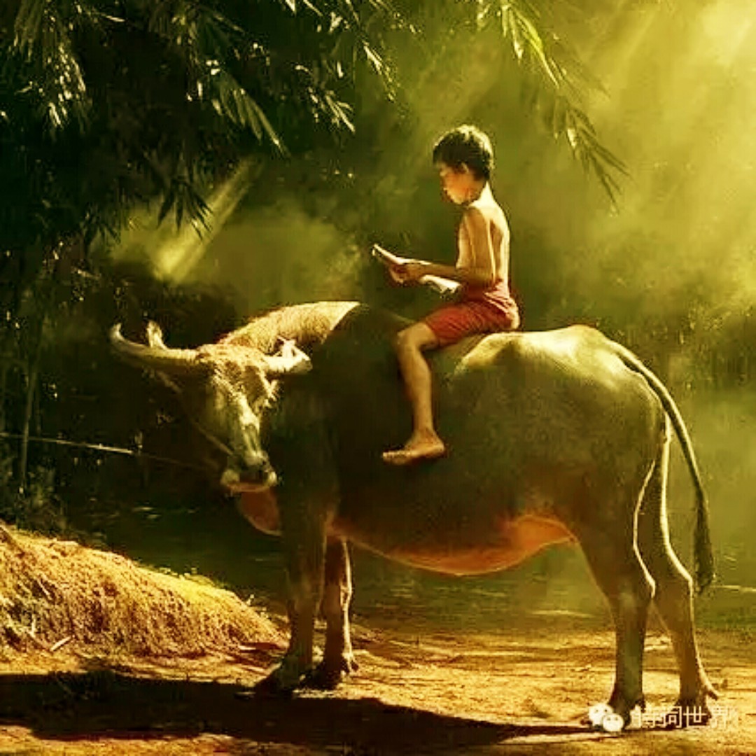 淘个宝贝不容易