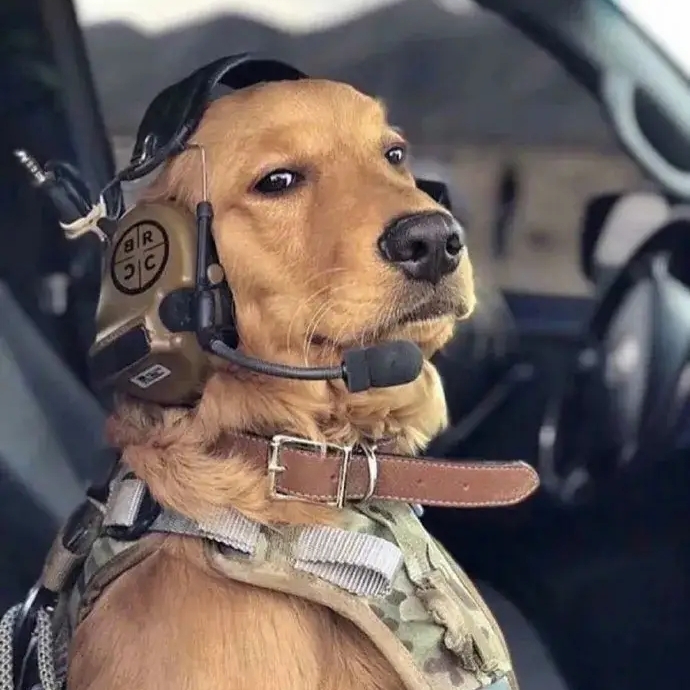 辅助先跑我有医保