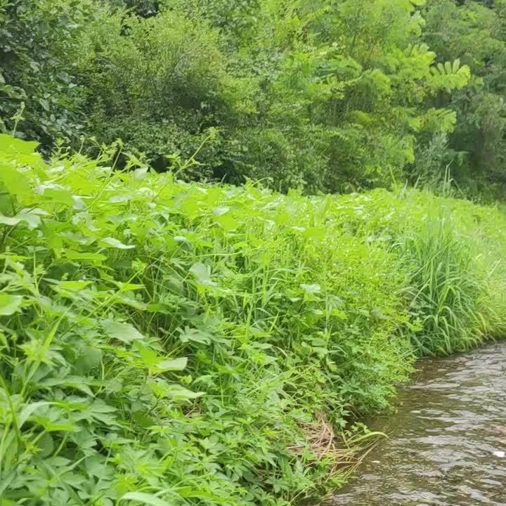 牵手望夕阳(=^_^=)