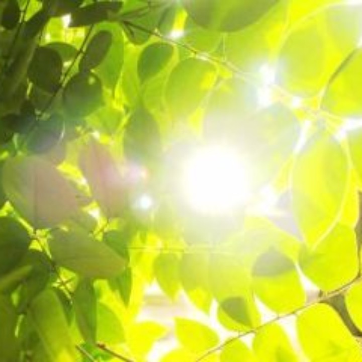 媛媛波比美滋滋