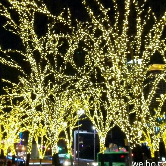 来自冰川爱吃甜品的小