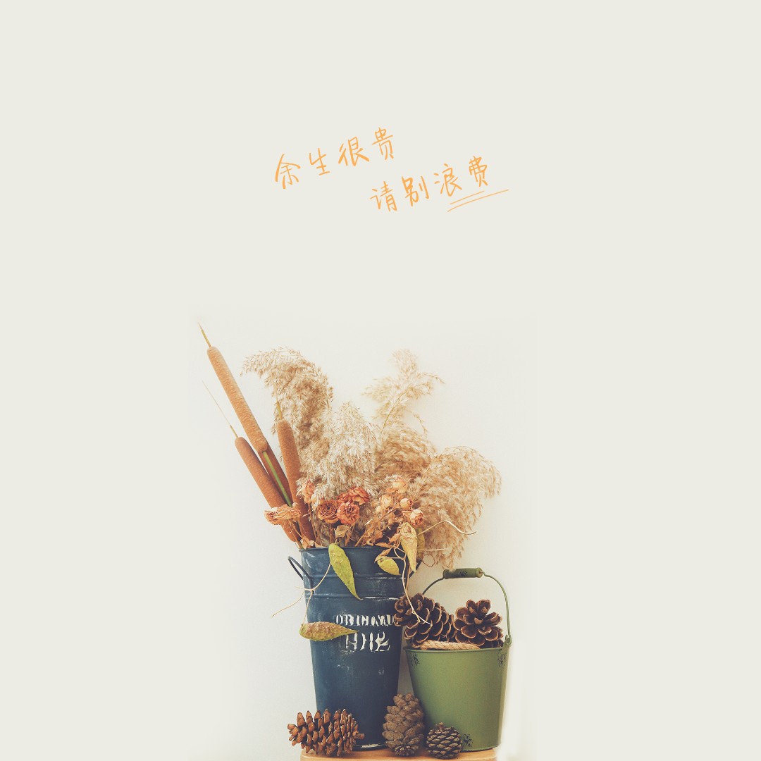 皮卡丘与小鱼儿