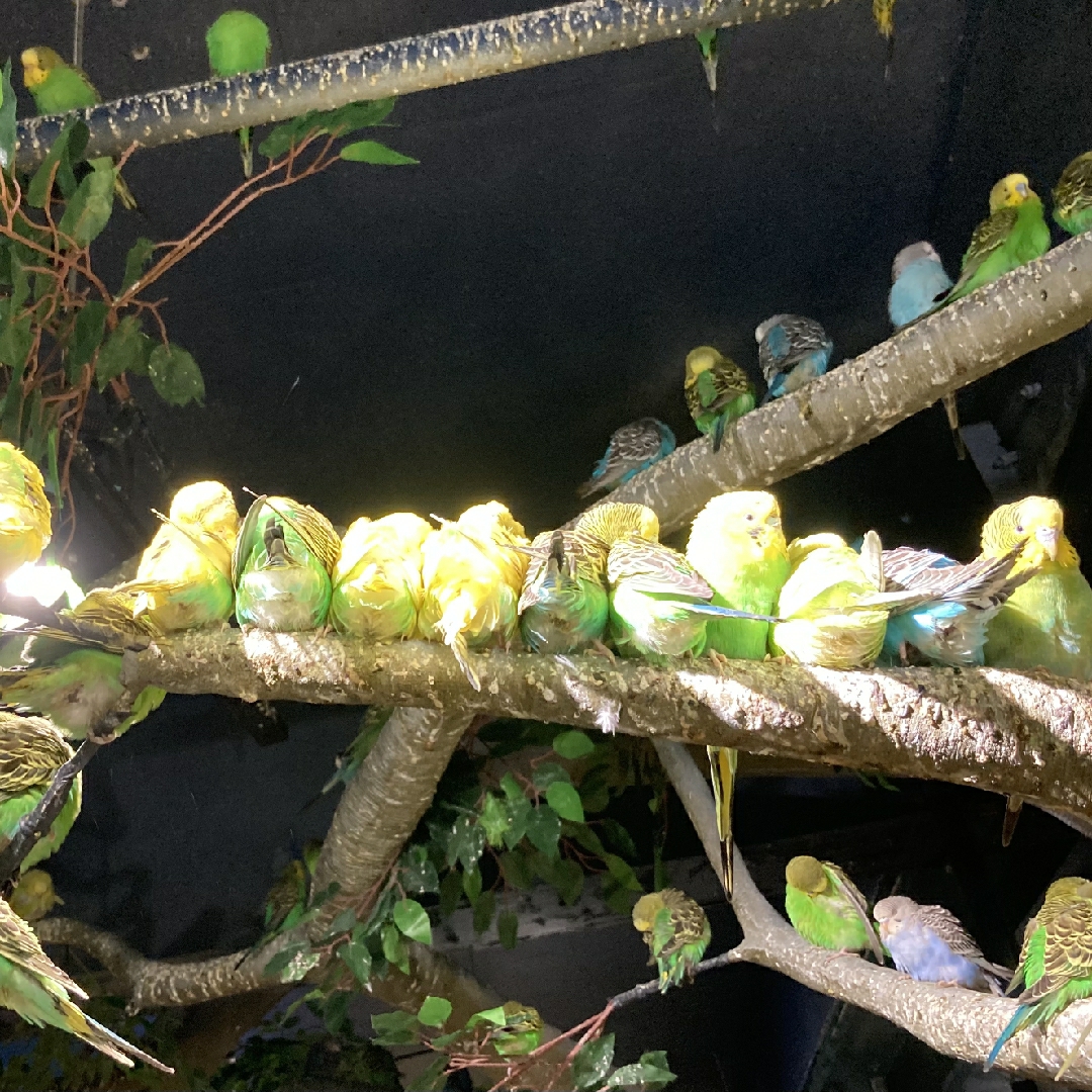 的人噶我登爱我的