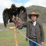 吉吉国王带毛毛打怪