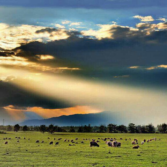 黄河边上一孤舟