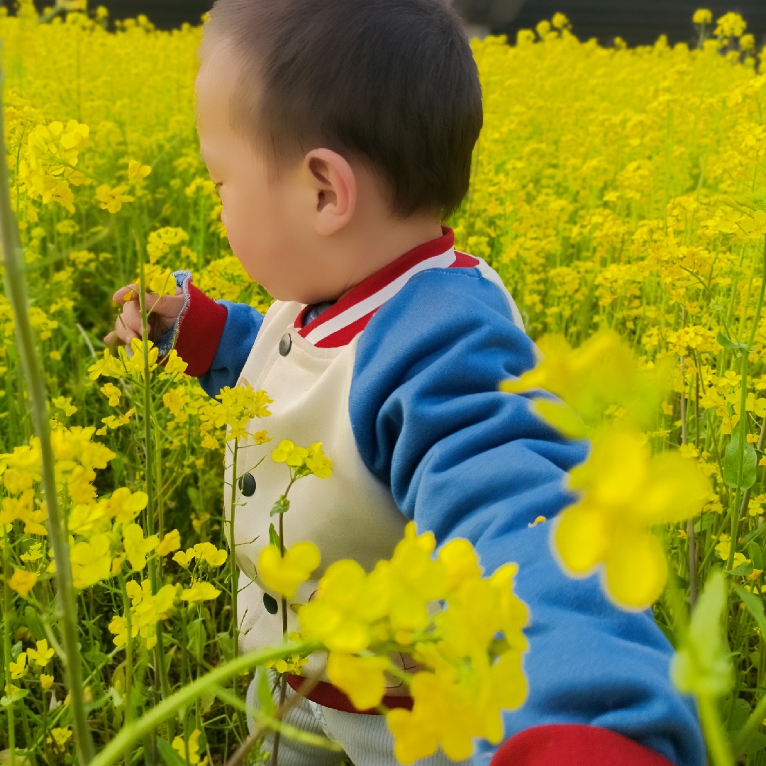 青柠味的薄荷糖
