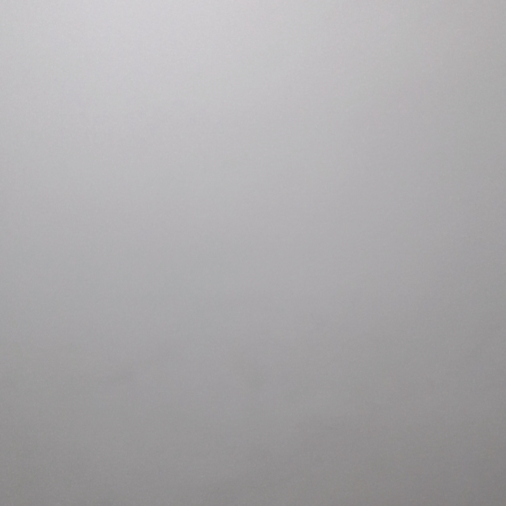 爱吃三丝鱼翅的史昂