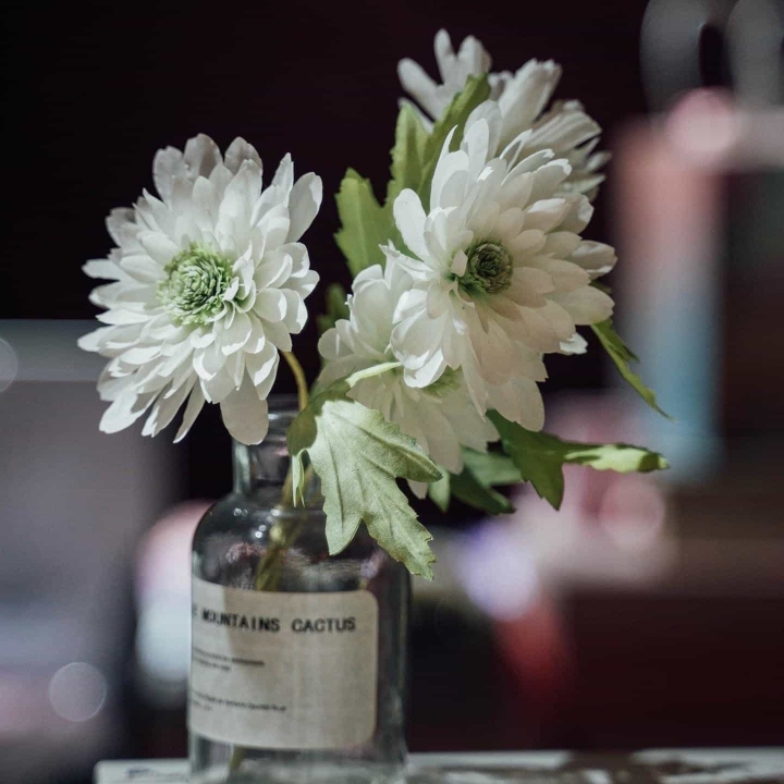 小螃蟹爱吃五花肉