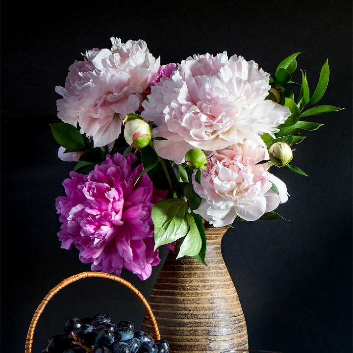 爱吃一品汤包的学霸