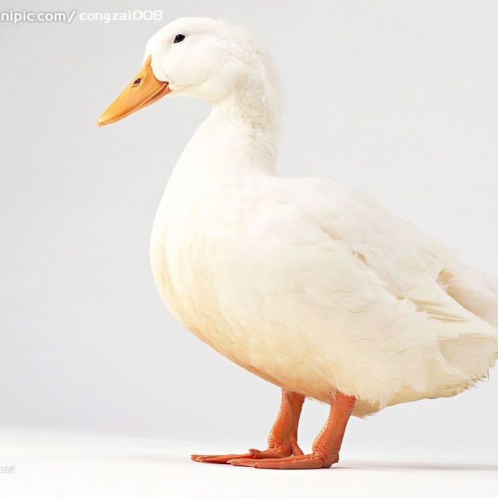 棕红的释迦凤梨